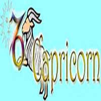 capricorn all about capricorn