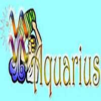 Aquarius - Complete information about your sun sign.